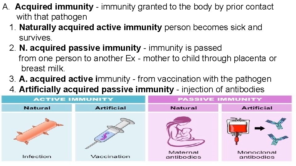 A. Acquired immunity - immunity granted to the body by prior contact with that