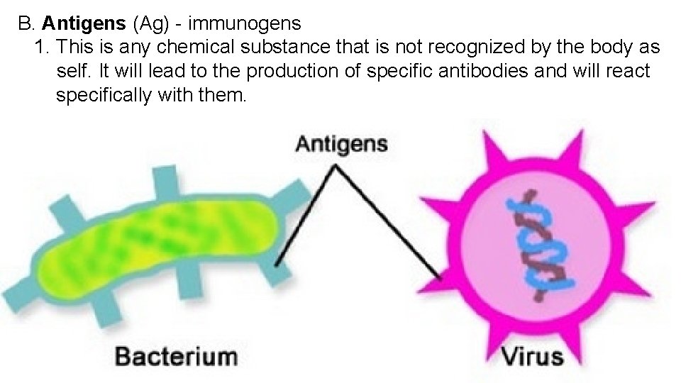 B. Antigens (Ag) - immunogens 1. This is any chemical substance that is not