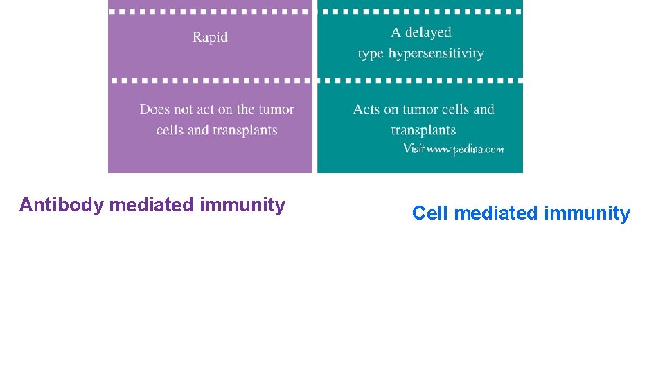 Antibody mediated immunity Cell mediated immunity 