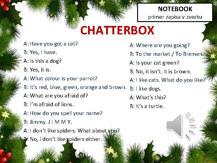 NOTEBOOK primer zapisa v zvezku CHATTERBOX A: Have you got a cat? B: Yes,