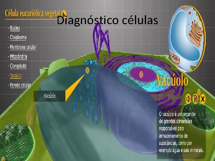 Diagnóstico células 