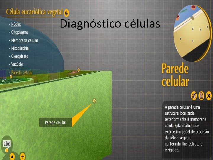 Diagnóstico células 