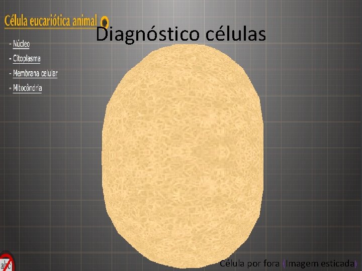 Diagnóstico células Célula por fora (Imagem esticada) 