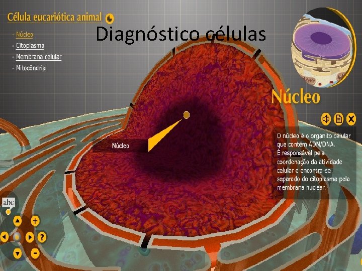 Diagnóstico células 