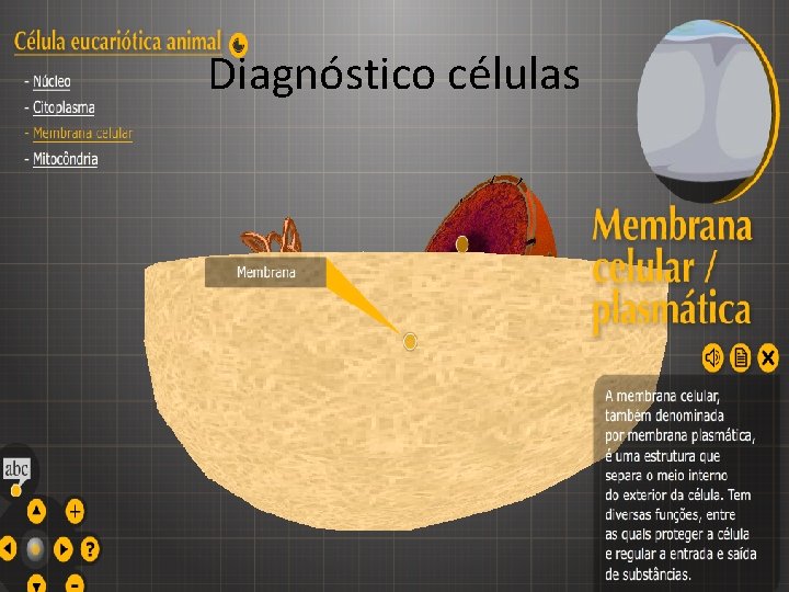 Diagnóstico células 