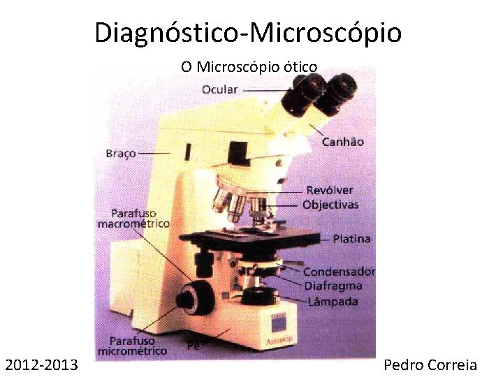 Diagnóstico-Microscópio O Microscópio ótico 2012 -2013 Pedro Correia 