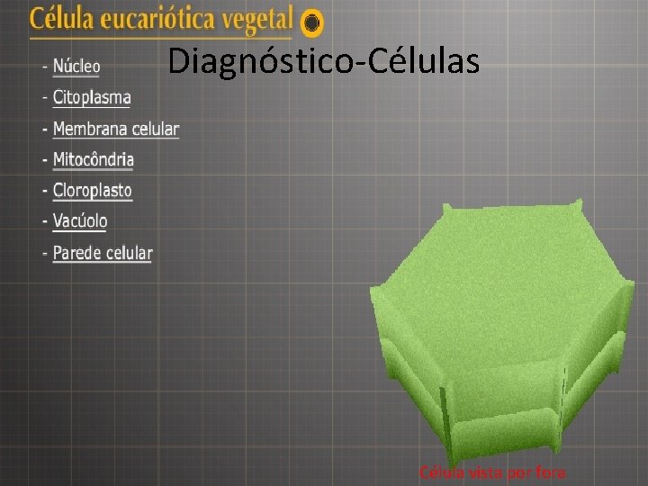 Diagnóstico-Células Célula vista por fora 