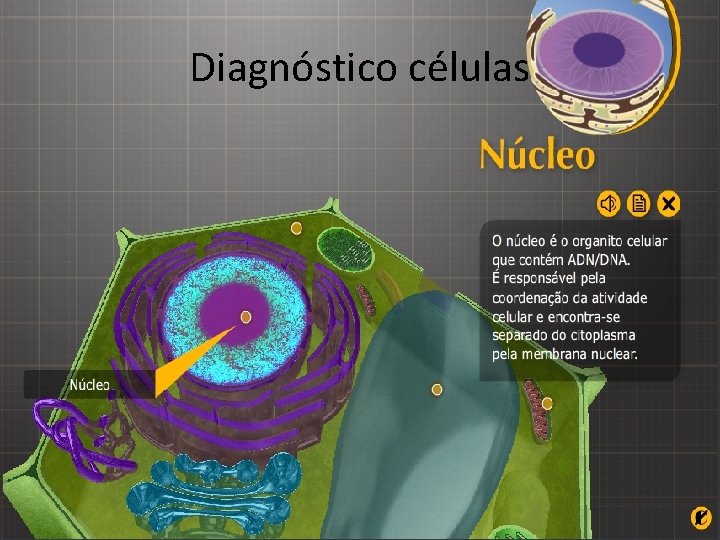 Diagnóstico células 
