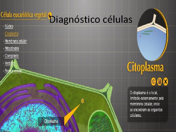 Diagnósticocélulas 