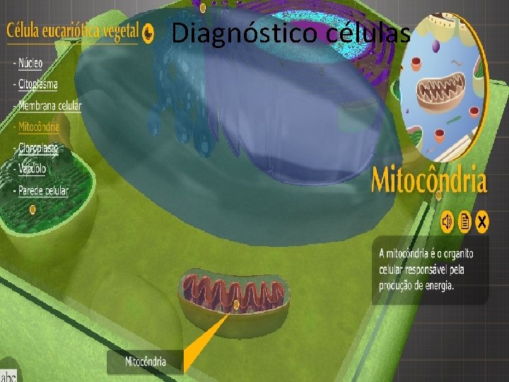 Diagnóstico células 