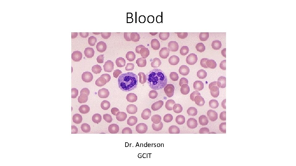 Blood Dr. Anderson GCIT 