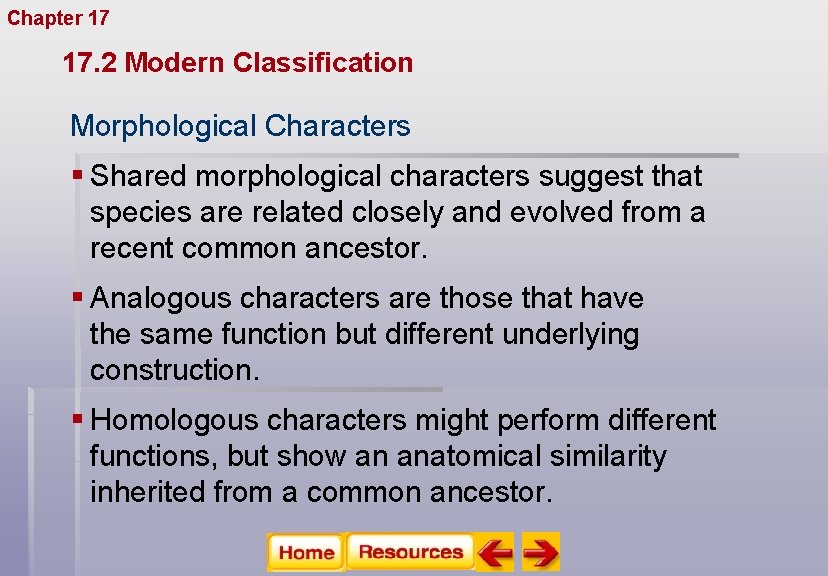 Chapter 17 Organizing Life’s Diversity 17. 2 Modern Classification Morphological Characters § Shared morphological