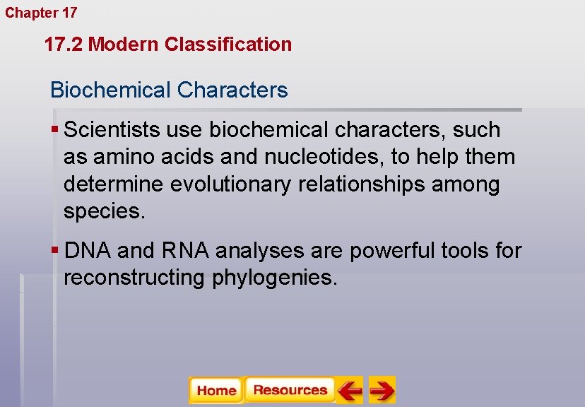 Chapter 17 Organizing Life’s Diversity 17. 2 Modern Classification Biochemical Characters § Scientists use