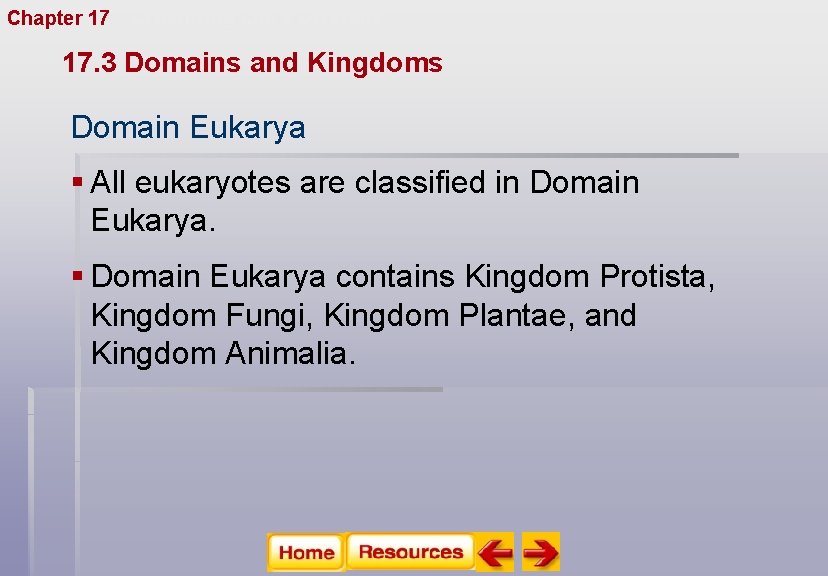 Chapter 17 Organizing Life’s Diversity 17. 3 Domains and Kingdoms Domain Eukarya § All