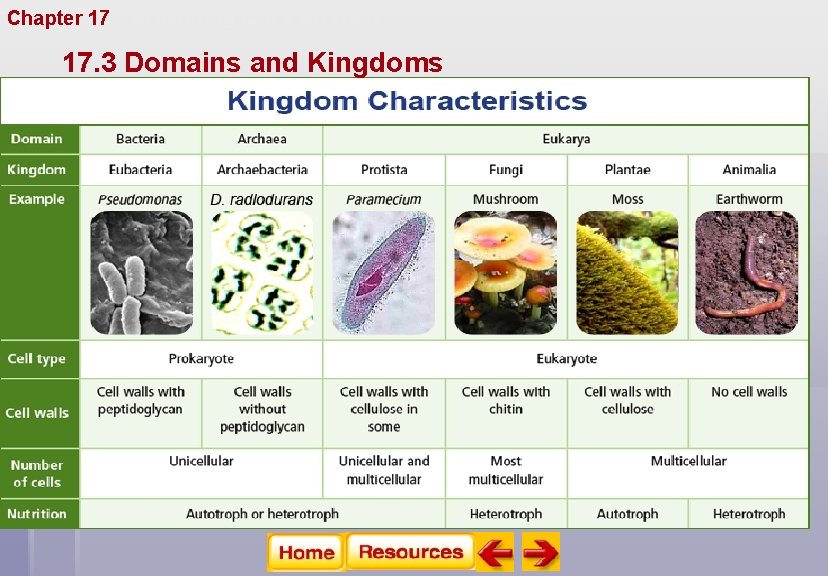 Chapter 17 Organizing Life’s Diversity 17. 3 Domains and Kingdoms 