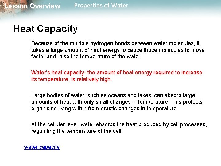 Lesson Overview Properties of Water Heat Capacity Because of the multiple hydrogen bonds between