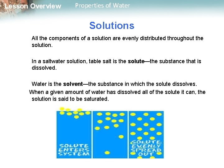 Lesson Overview Properties of Water Solutions All the components of a solution are evenly