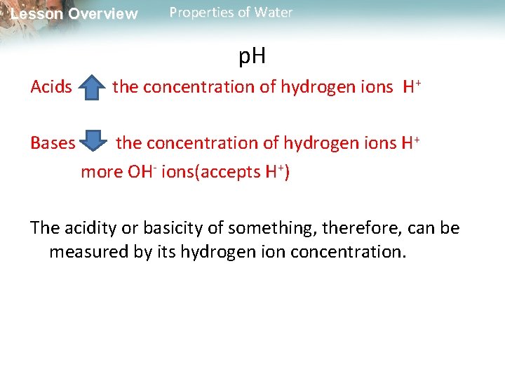 Lesson Overview Properties of Water p. H Acids the concentration of hydrogen ions H+