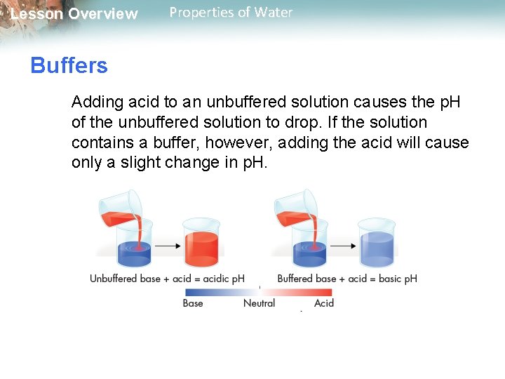 Lesson Overview Properties of Water Buffers Adding acid to an unbuffered solution causes the