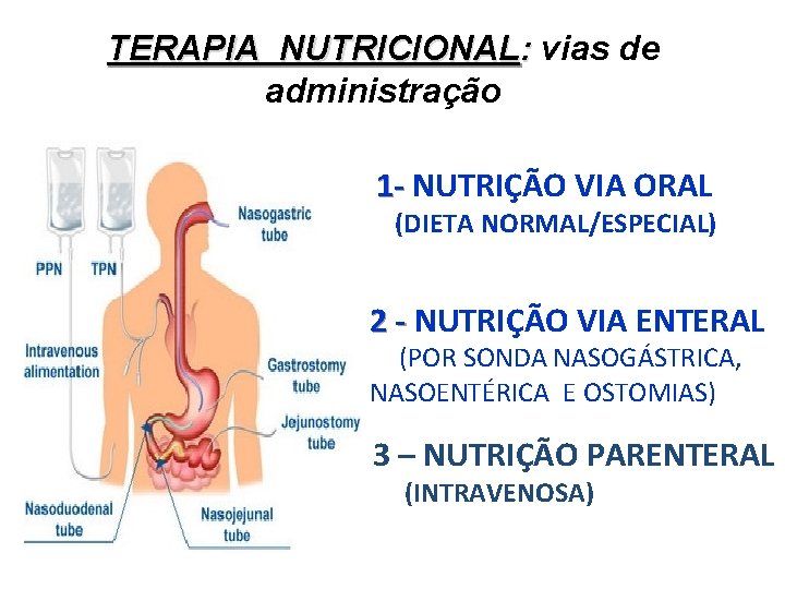 TERAPIA NUTRICIONAL: vias de administração 1 - NUTRIÇÃO VIA ORAL (DIETA NORMAL/ESPECIAL) 2 -