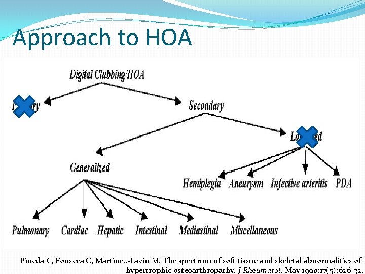 Approach to HOA Pineda C, Fonseca C, Martinez-Lavin M. The spectrum of soft tissue