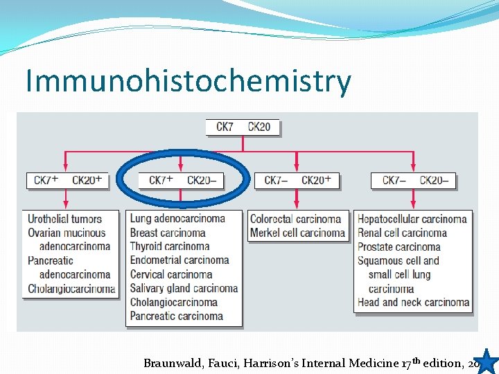 Immunohistochemistry Braunwald, Fauci, Harrison’s Internal Medicine 17 th edition, 2009 