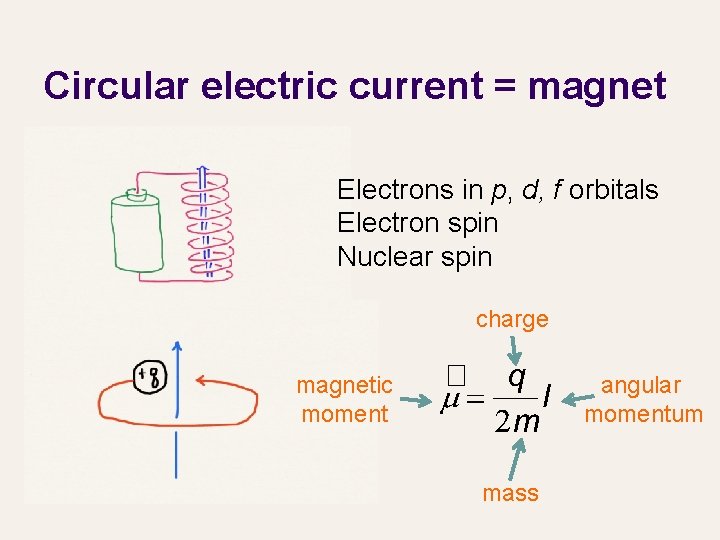 Circular electric current = magnet Electrons in p, d, f orbitals Electron spin Nuclear