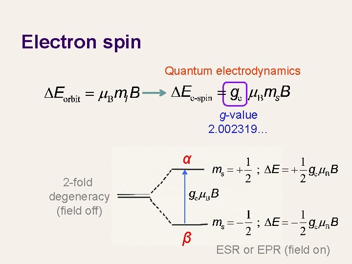 Electron spin Quantum electrodynamics g-value 2. 002319… α 2 -fold degeneracy (field off) β