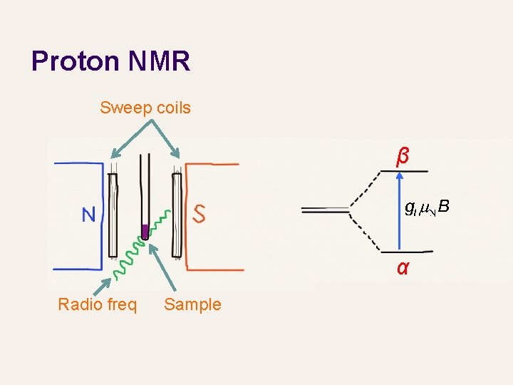 Proton NMR Sweep coils β α Radio freq Sample 