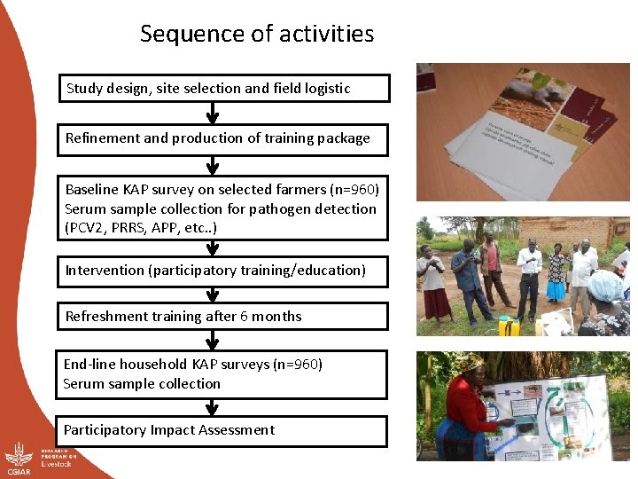 Sequence of activities Study design, site selection and field logistic Refinement and production of