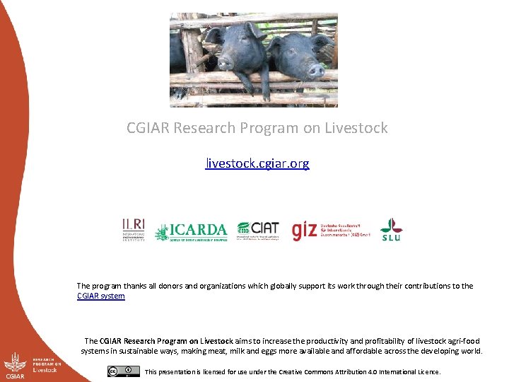 CGIAR Research Program on Livestock livestock. cgiar. org The program thanks all donors and