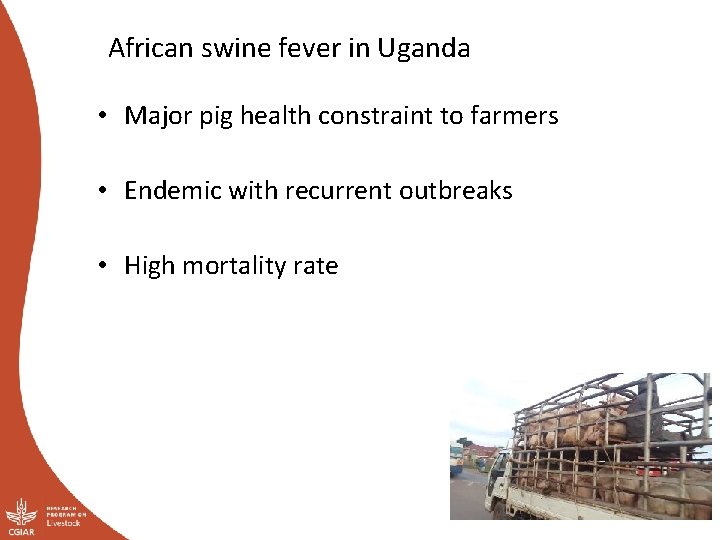 African swine fever in Uganda • Major pig health constraint to farmers • Endemic