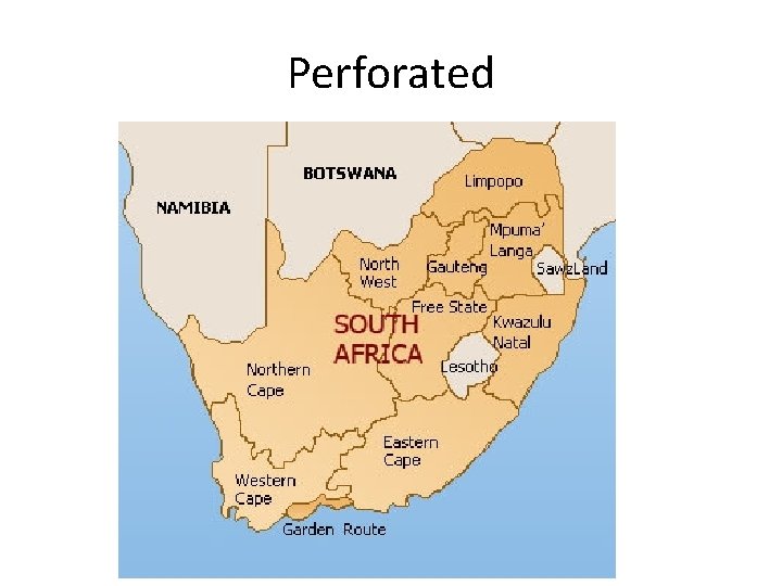 Perforated Perforated