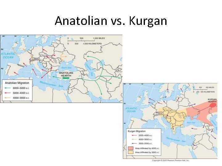 Anatolian vs. Kurgan Anatolian vs. Kurgan
