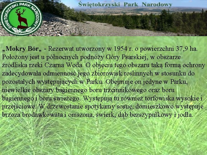 „Mokry Bór„ - Rezerwat utworzony w 1954 r. o powierzchni 37, 9 ha. Położony