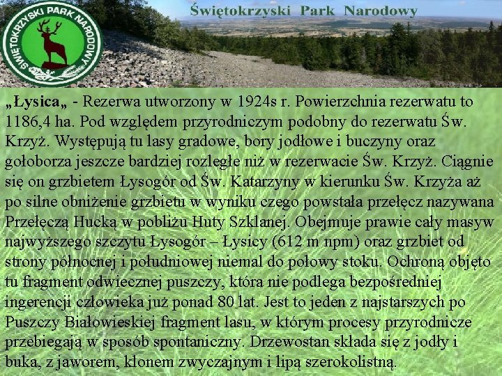 „Łysica„ - Rezerwa utworzony w 1924 s r. Powierzchnia rezerwatu to 1186, 4 ha.