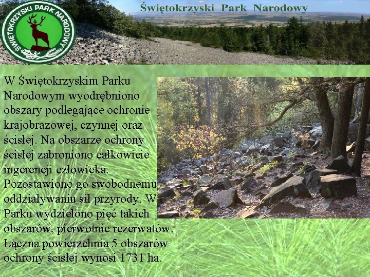 W Świętokrzyskim Parku Narodowym wyodrębniono obszary podlegające ochronie krajobrazowej, czynnej oraz ścisłej. Na obszarze