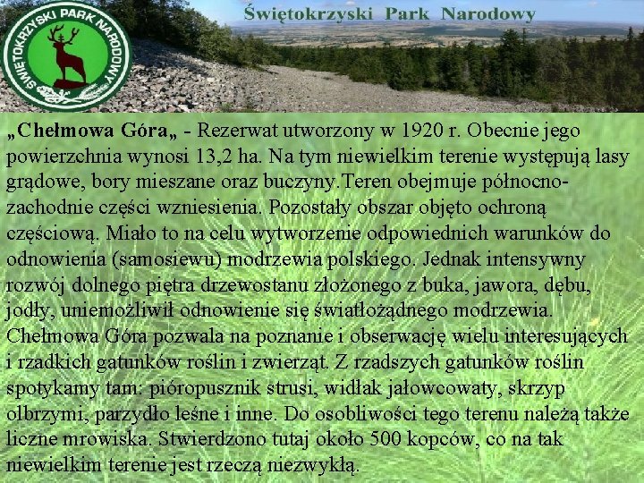 „Chełmowa Góra„ - Rezerwat utworzony w 1920 r. Obecnie jego powierzchnia wynosi 13, 2