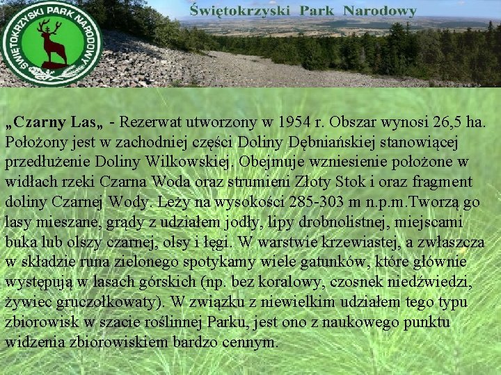 „Czarny Las„ - Rezerwat utworzony w 1954 r. Obszar wynosi 26, 5 ha. Położony