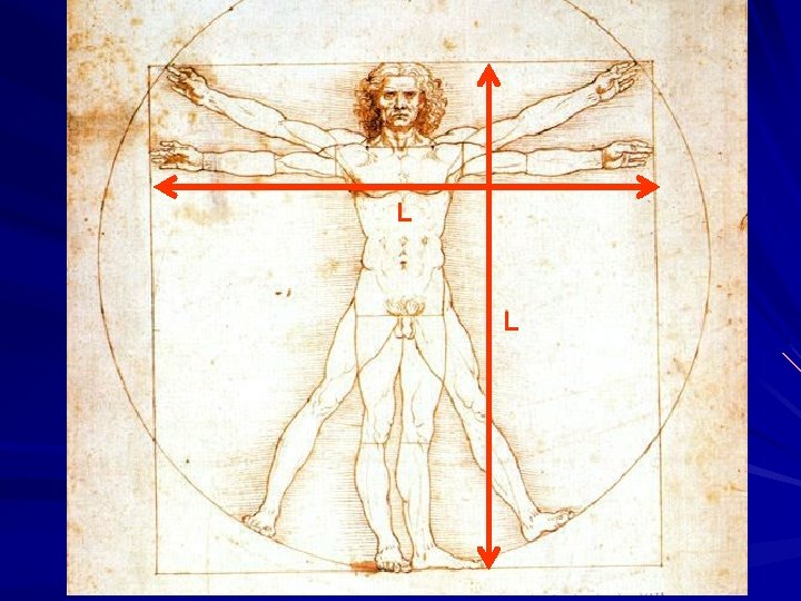 L L 