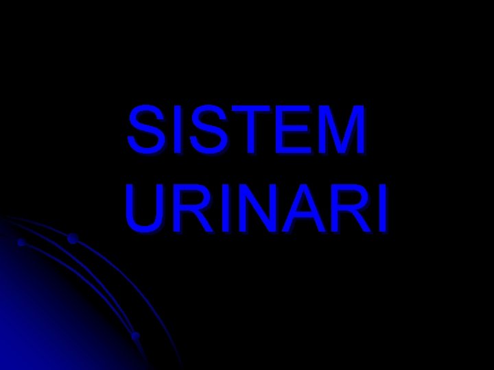 SISTEM URINARI SISTEM URINARI