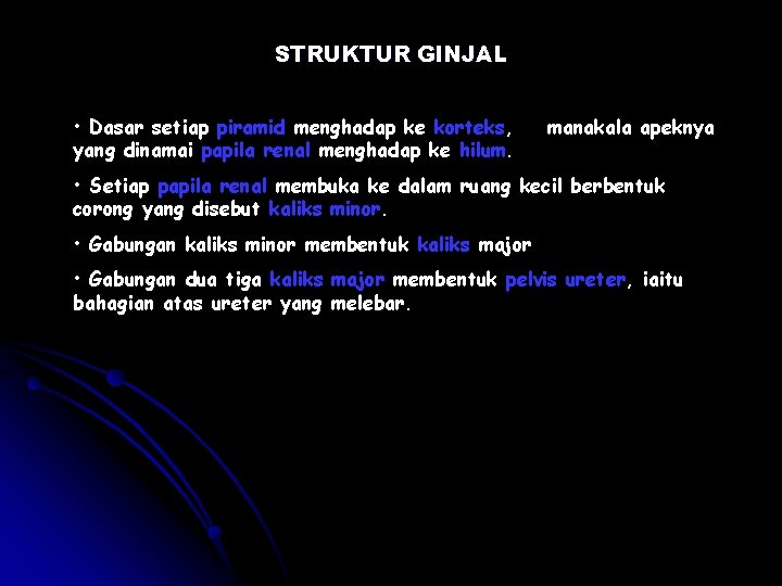 STRUKTUR GINJAL • Dasar setiap piramid menghadap ke korteks, yang dinamai papila renal menghadap STRUKTUR GINJAL • Dasar setiap piramid menghadap ke korteks, yang dinamai papila renal menghadap
