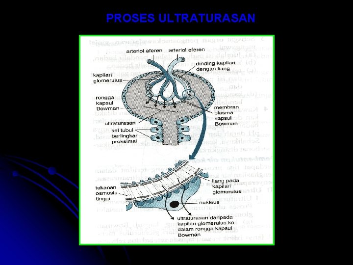 PROSES ULTRATURASAN PROSES ULTRATURASAN