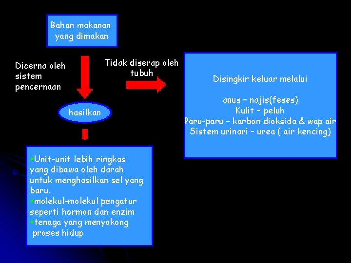 Bahan makanan yang dimakan Tidak diserap oleh tubuh Dicerna oleh sistem pencernaan hasilkan §Unit-unit Bahan makanan yang dimakan Tidak diserap oleh tubuh Dicerna oleh sistem pencernaan hasilkan §Unit-unit