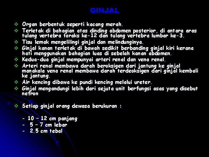 GINJAL v Organ berbentuk seperti kacang merah. v Terletak di bahagian atas dinding abdomen GINJAL v Organ berbentuk seperti kacang merah. v Terletak di bahagian atas dinding abdomen