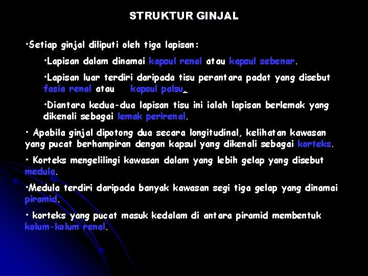 STRUKTUR GINJAL • Setiap ginjal diliputi oleh tiga lapisan: • Lapisan dalam dinamai kapsul STRUKTUR GINJAL • Setiap ginjal diliputi oleh tiga lapisan: • Lapisan dalam dinamai kapsul