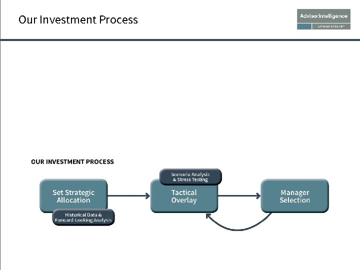 Our Investment Process 
