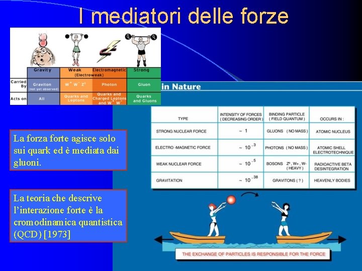 I mediatori delle forze La forza forte agisce solo sui quark ed è mediata