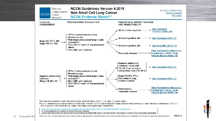12 Copyright © 2018 AJCC All Rights Reserved 