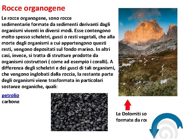 Rocce organogene Le rocce organogene, sono rocce sedimentarie formate da sedimenti derivanti dagli organismi